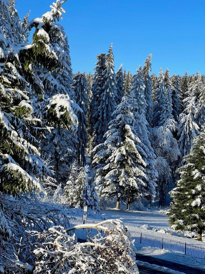 Winterberg Appartement Winterspot Dış mekan fotoğraf